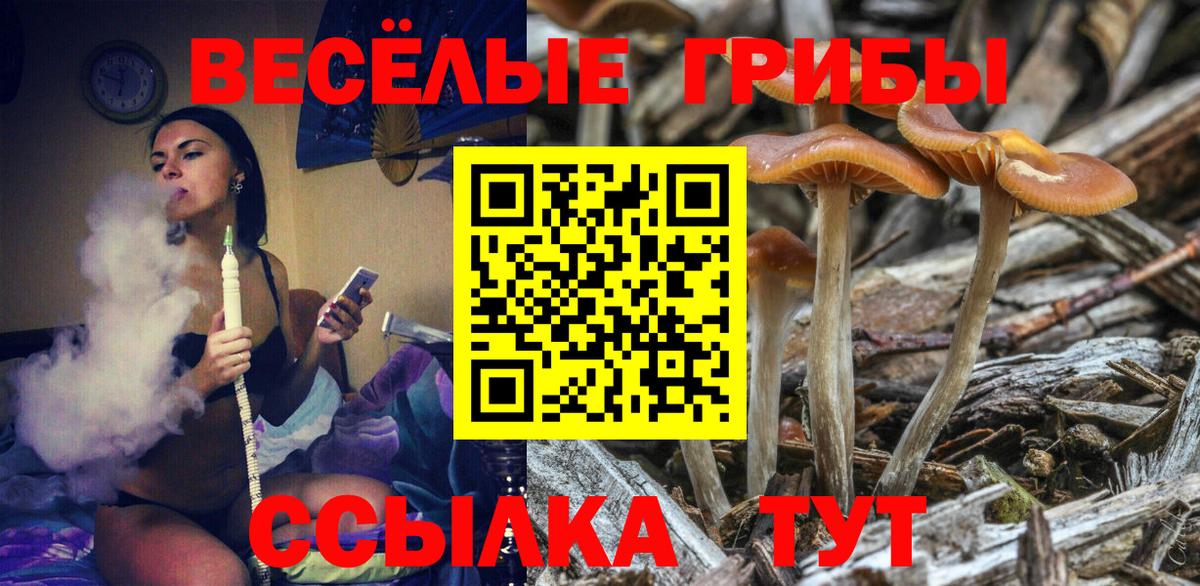 Псилоцибиновые грибы ЛСД  Галлюциногенные грибы Psilocybe  Вход с VPN  Черняховск 