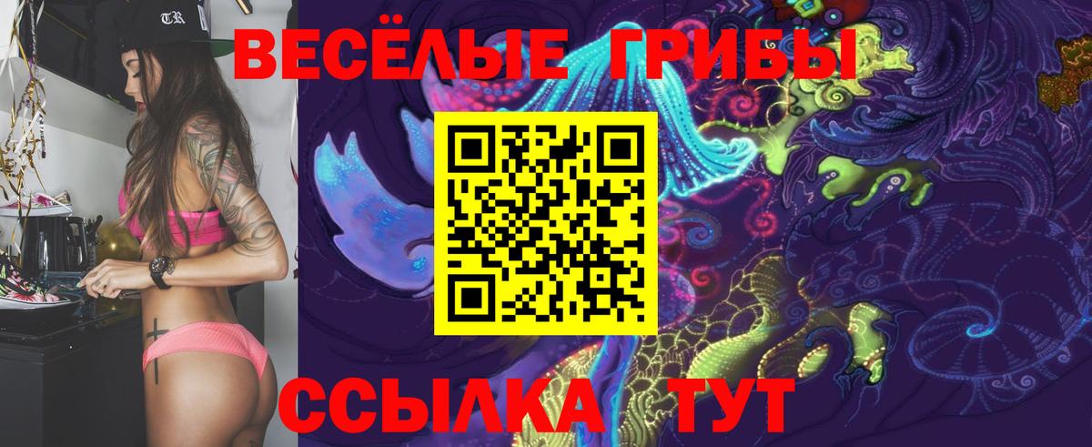Псилоцибиновые грибы мухоморы Черняховск